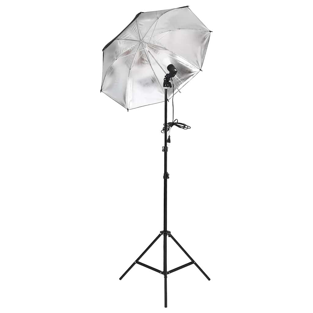 Fotostudioset Met Verlichtingsset En Softboxen 6