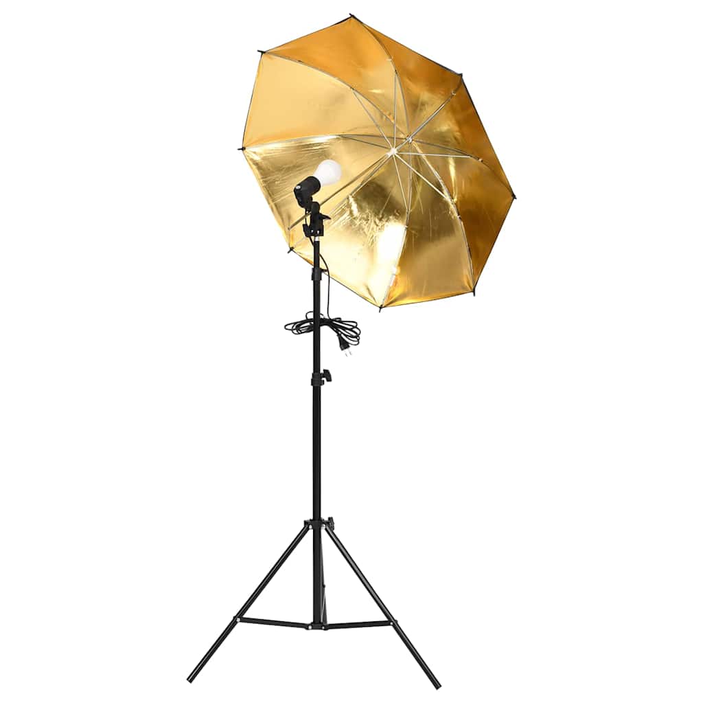 Fotostudioset Met Verlichtingsset En Softboxen 6