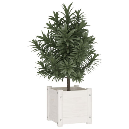 Plantenbak 3X3X3 Cm Massief Grenenhout 1 Wit