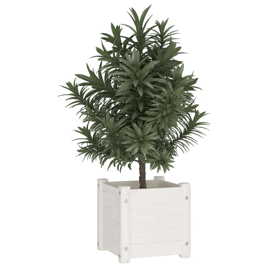Plantenbak 3X3X3 Cm Massief Grenenhout 1 Wit