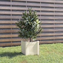 Plantenbak 3X3X3 Cm Massief Grenenhout 1 Wit