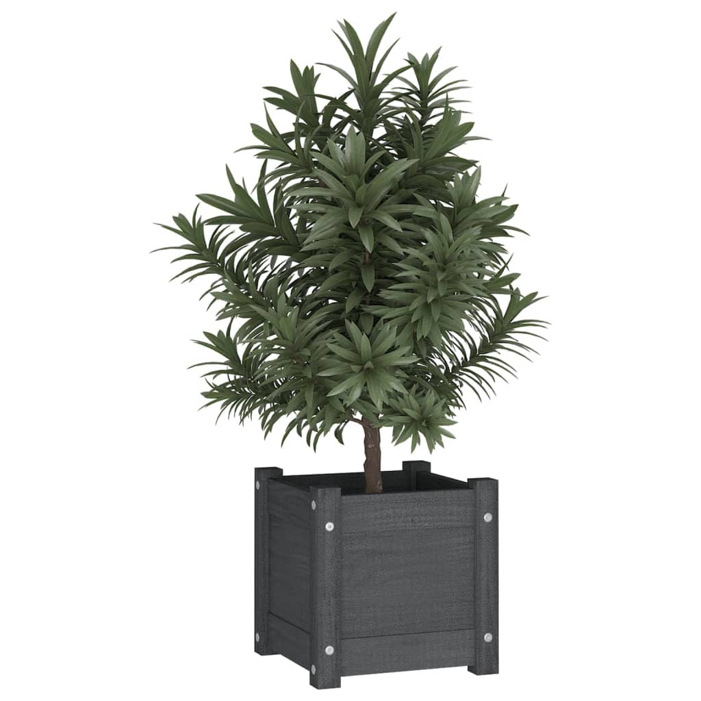 Plantenbakken 3X3X3 Cm Massief Grenenhout 2 1 Grijs