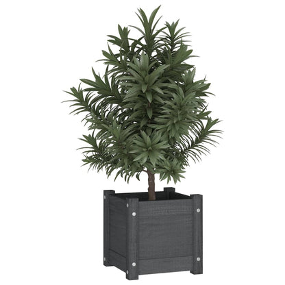 Plantenbakken 3X3X3 Cm Massief Grenenhout 2 1 Grijs