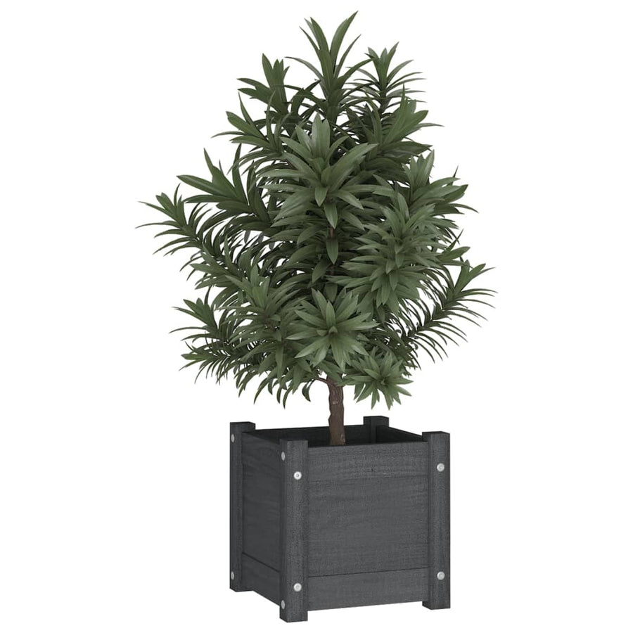 Plantenbakken 3X3X3 Cm Massief Grenenhout 2 1 Grijs