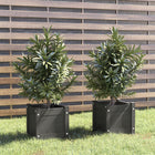 Planters 2 pcs 31x31x31 cm solid pine wood grey