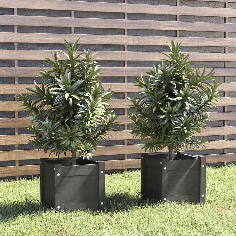 Plantenbakken 3X3X3 Cm Massief Grenenhout 2 1 Grijs