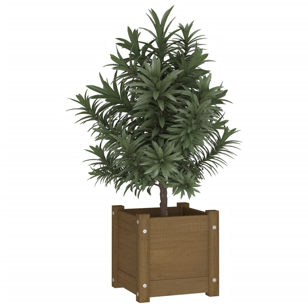 Plantenbak 3X3X3 Cm Massief Grenenhout 1 Honingbruin