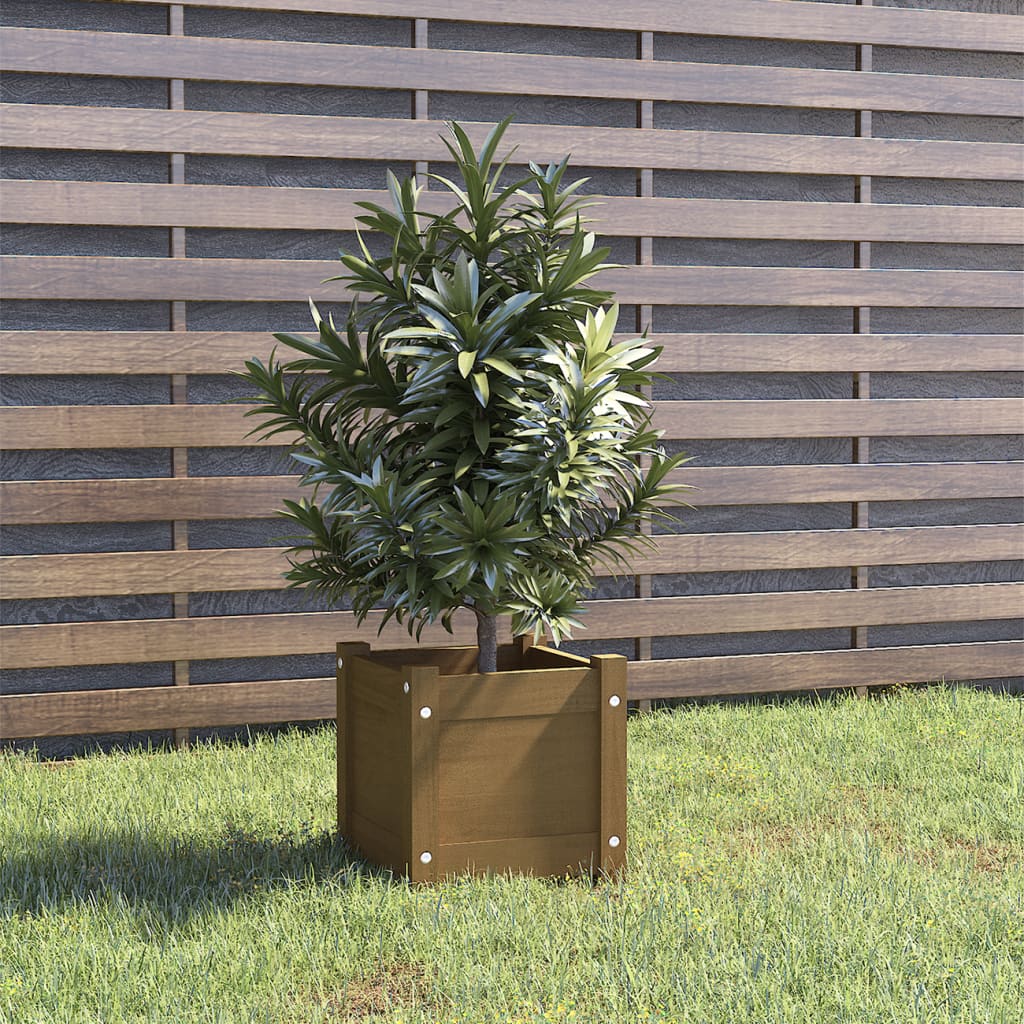 Plantenbak 3X3X3 Cm Massief Grenenhout 1 Honingbruin