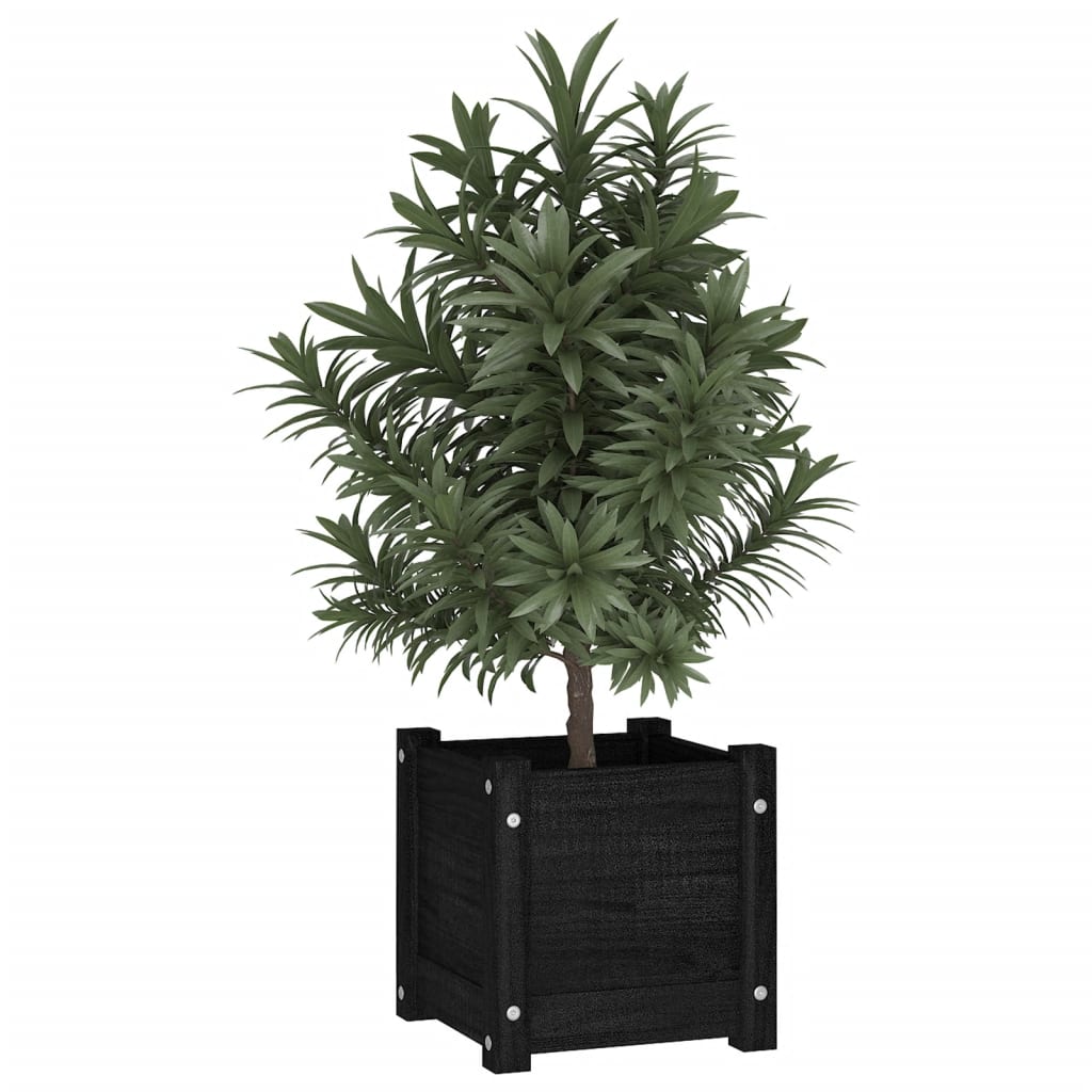 Plantenbakken 3X3X3 Cm Massief Grenenhout 2 1 Zwart