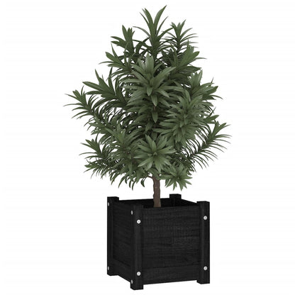 Plantenbakken 3X3X3 Cm Massief Grenenhout 2 1 Zwart
