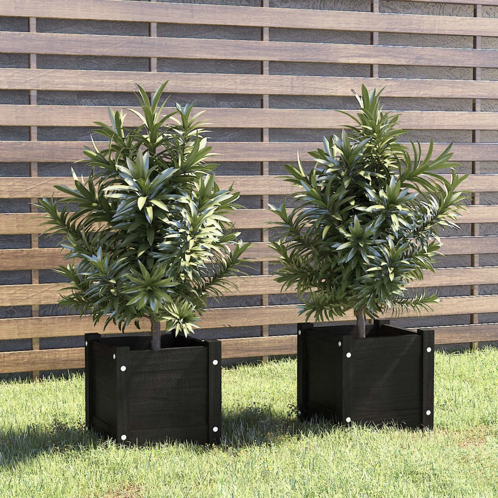 Plantenbakken 3X3X3 Cm Massief Grenenhout 2 1 Zwart