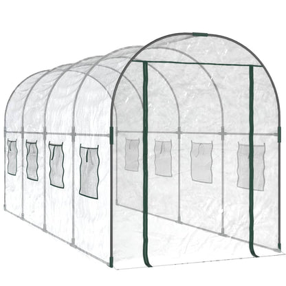 Tuinkas 160X400X190 Cm Pvc En Gepoedercoat Staal Transparant