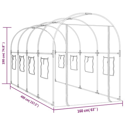 Tuinkas 160X400X190 Cm Pvc En Gepoedercoat Staal Transparant