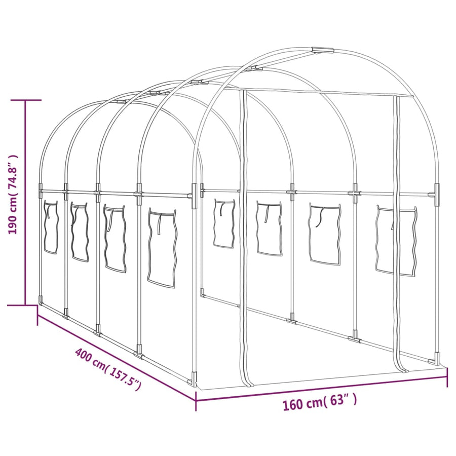 Tuinkas 160X400X190 Cm Pvc En Gepoedercoat Staal Transparant