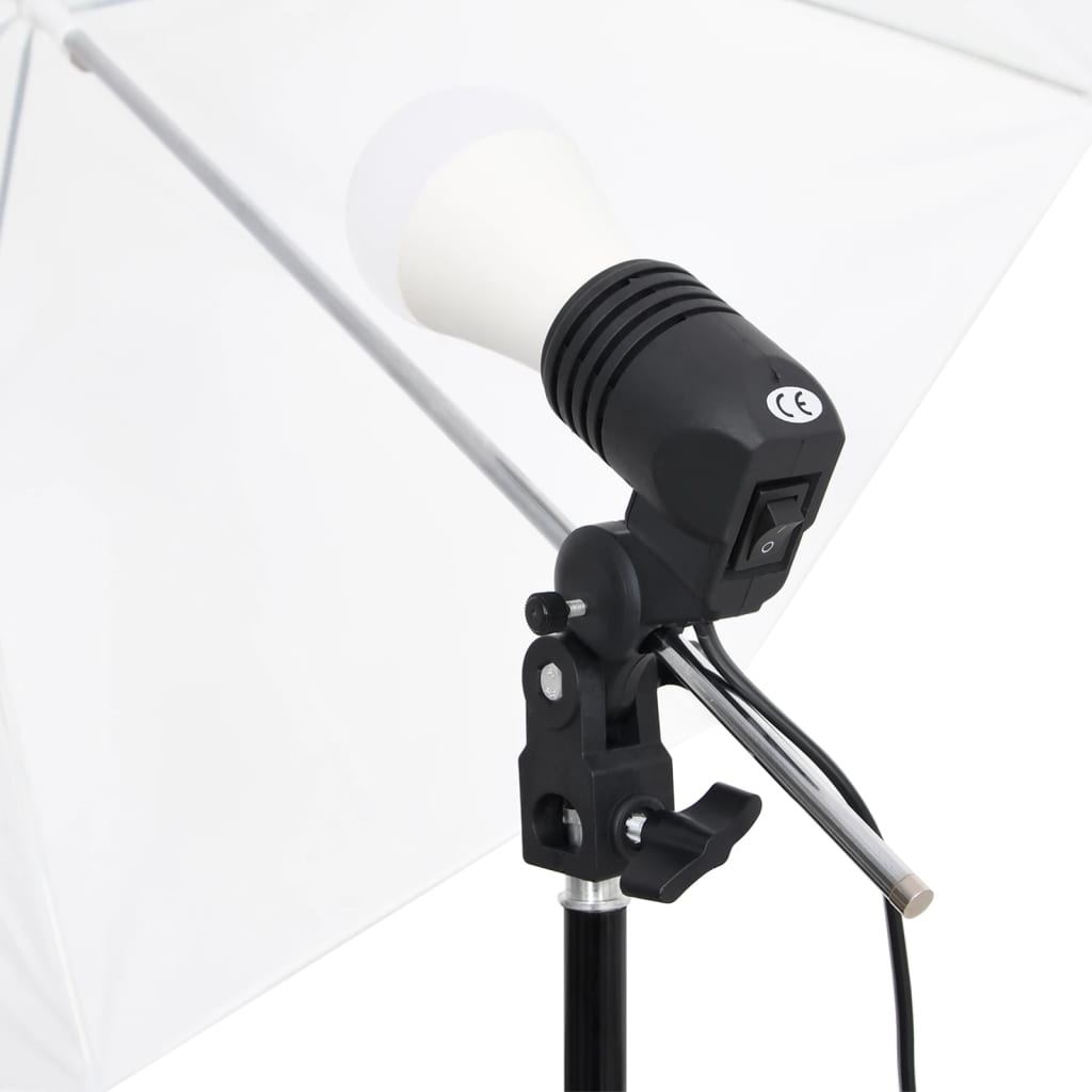 Fotostudioset Met Verlichtingsset En Achtergrond