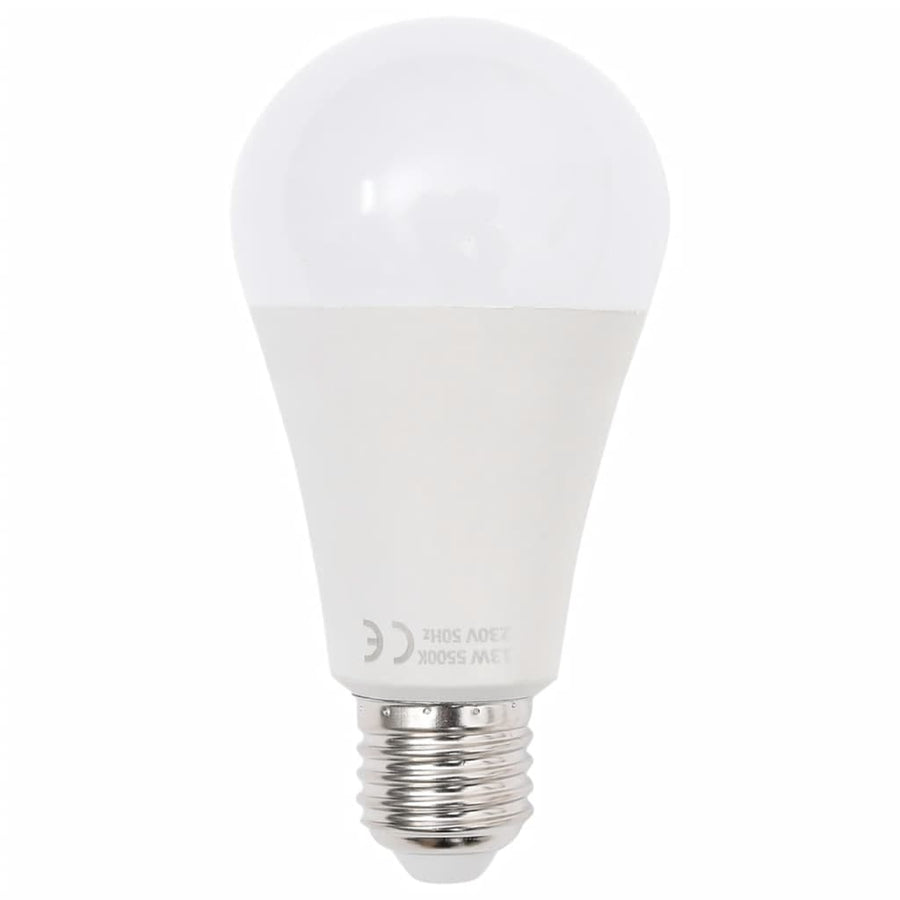 Fotostudioset Met Softboxlamp En Achtergrond Bruin En Crème