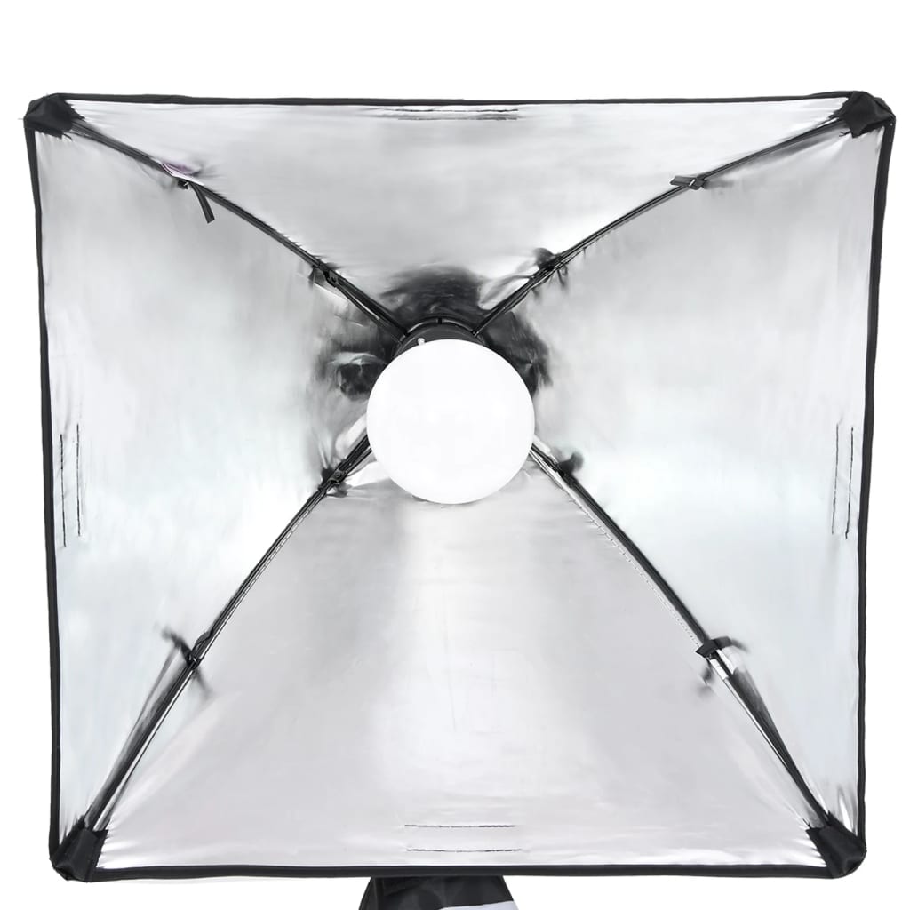 Fotostudioset Met Verlichtingsset En Achtergrond