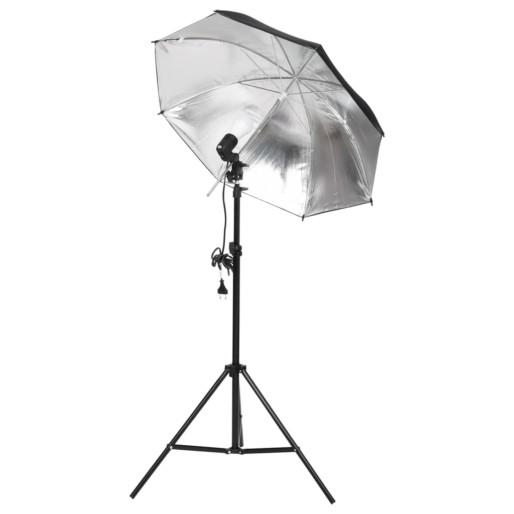 Fotostudioset Met Verlichtingsset En Achtergrond