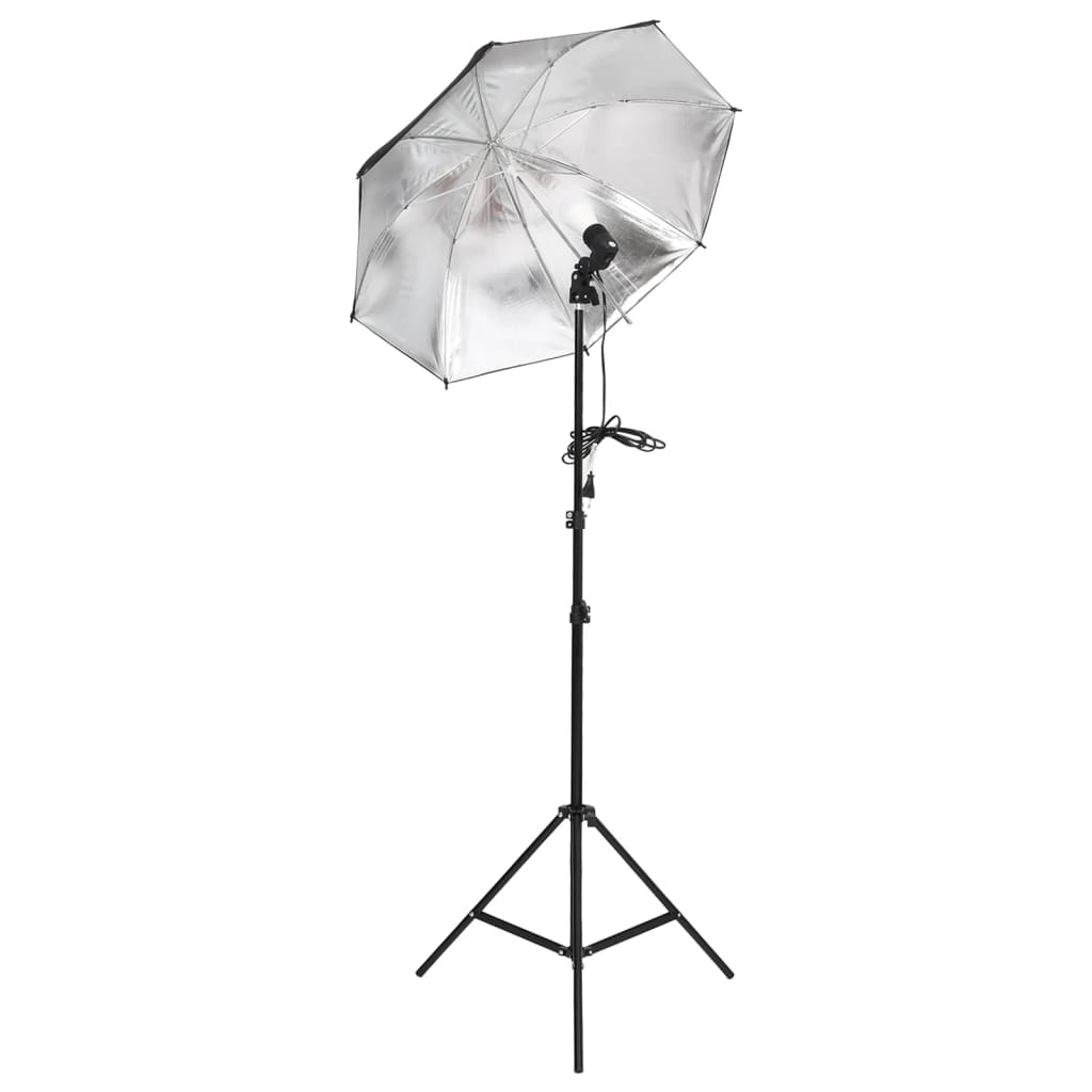 Fotostudioset Met Verlichtingsset En Achtergrond