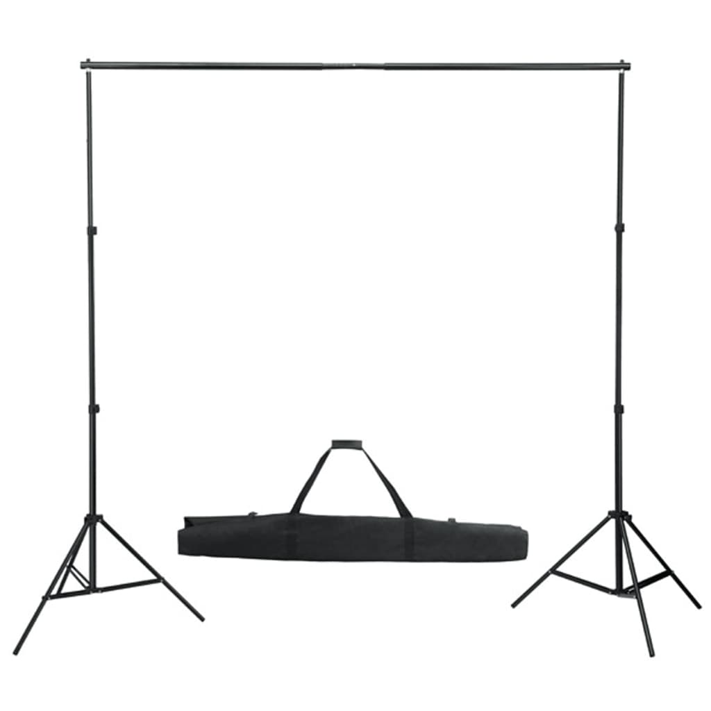 Fotostudioset Met Verlichtingsset En Achtergrond
