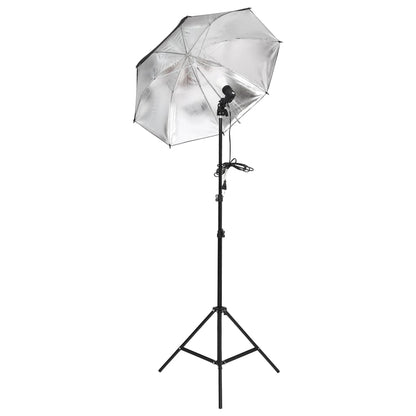 Fotostudioset Met Verlichtingsset En Achtergrond