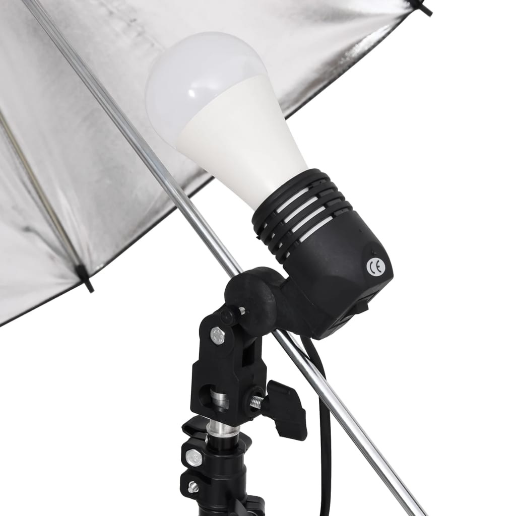 Fotostudioset Met Verlichtingsset En Achtergrond