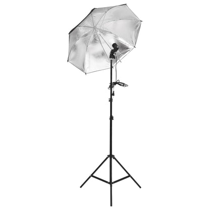 Fotostudioset Met Verlichtingsset, Achtergrond En Reflector