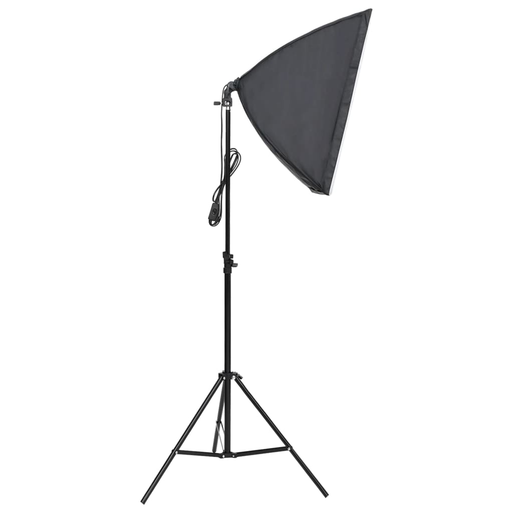 Fotostudioset Met Verlichtingsset En Achtergrond