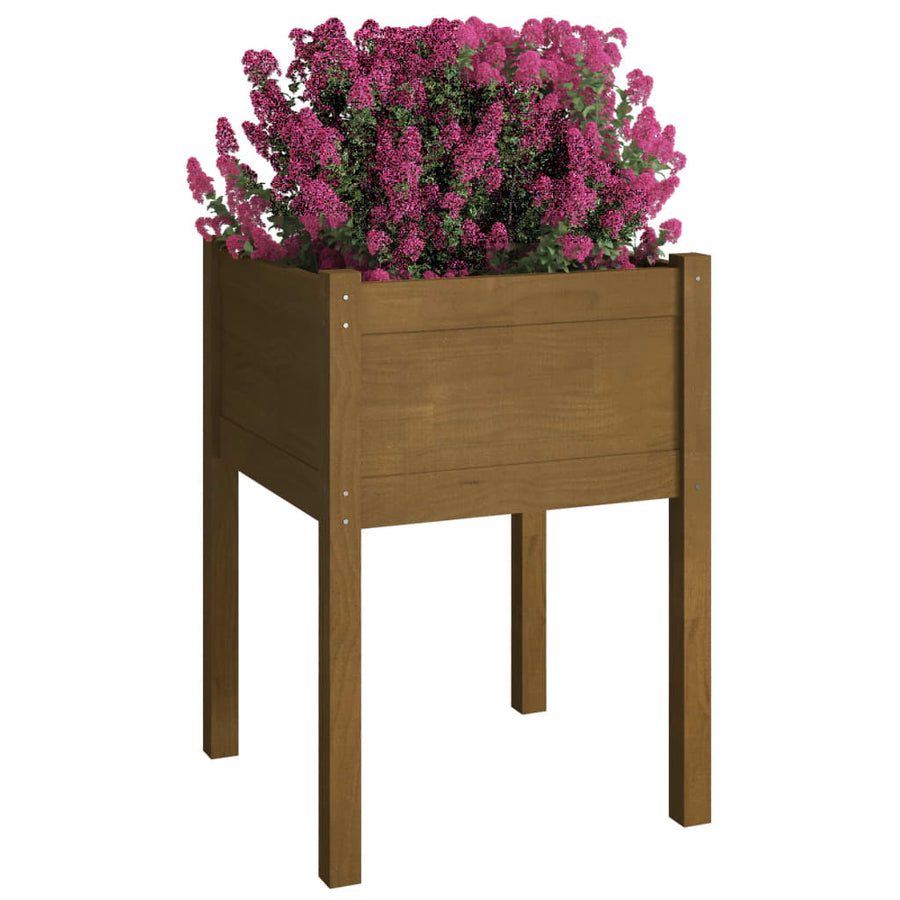 Plantenbaken 50X50X70 Cm Massief Grenenhout 2 1 Honingbruin