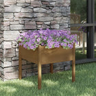 Planter 70x70x70 cm solid pine honey brown