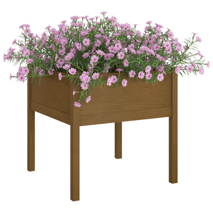 Plantenbakken 70X70X70 Cm Massief Grenenhout 2 Honingbruin