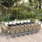 Tuinset poly rattan beige met kussens