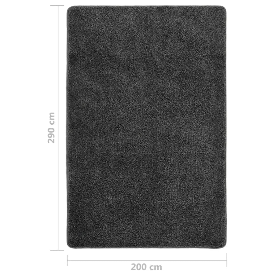 Vloerkleed Shaggy Anti-Slip 200 x 290 cm Donkergrijs