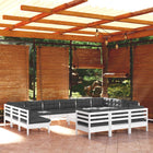 14-piece lounge set with cushions, pine wood, white