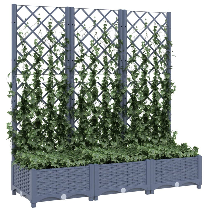 Plantenbak Met Latwerk 20X40X2,5 Cm Polypropeen 120 x 40 x 121.5 cm Donkergrijs