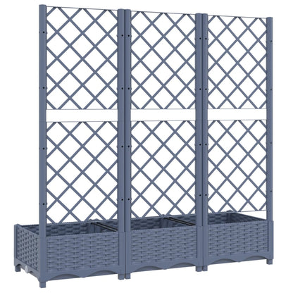 Plantenbak Met Latwerk 20X40X2,5 Cm Polypropeen 120 x 40 x 121.5 cm Donkergrijs