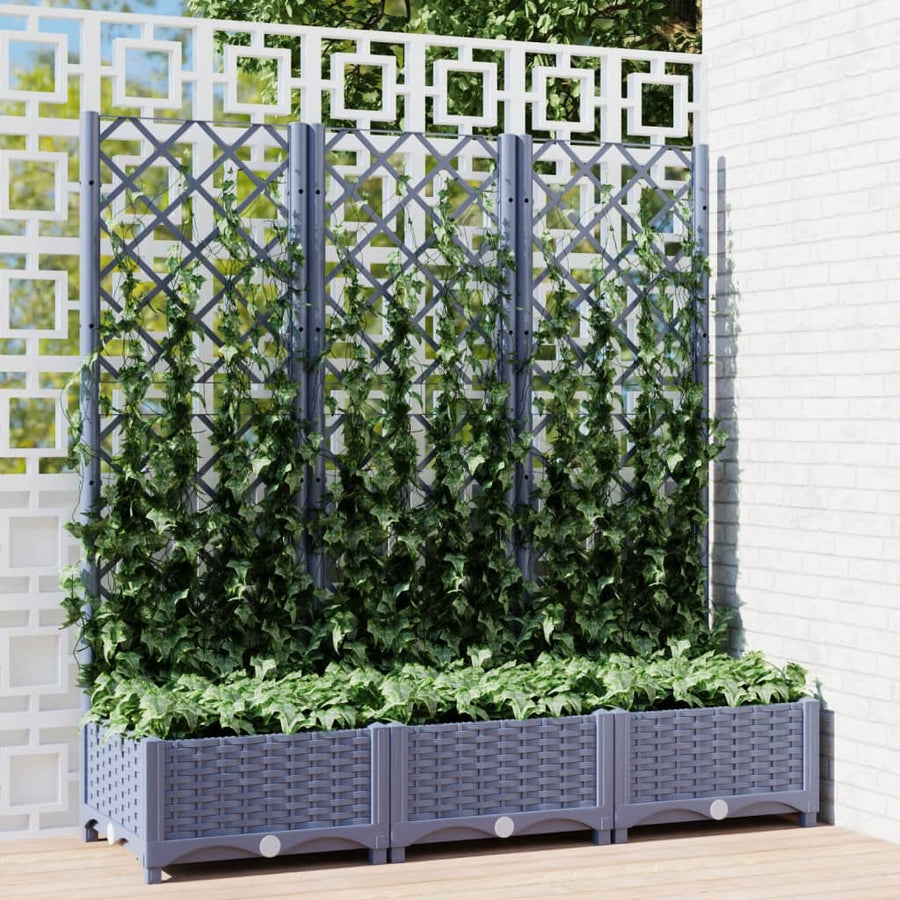 Plantenbak Met Latwerk 20X40X2,5 Cm Polypropeen 120 x 40 x 121.5 cm Donkergrijs