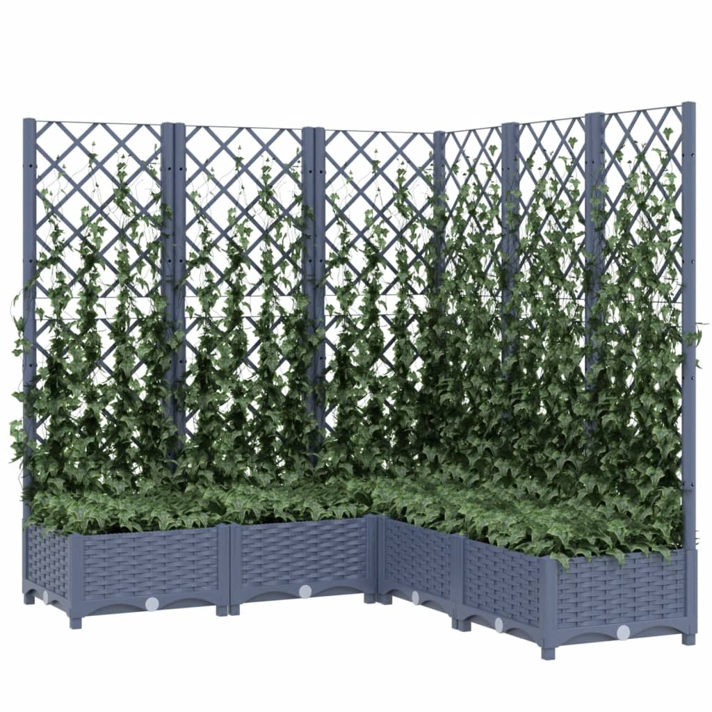 Plantenbak Met Latwerk 20X20X2,5 Cm Polypropeen 120 x 120 x 121.5 cm Donkergrijs
