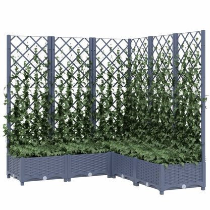 Plantenbak Met Latwerk 20X20X2,5 Cm Polypropeen 120 x 120 x 121.5 cm Donkergrijs