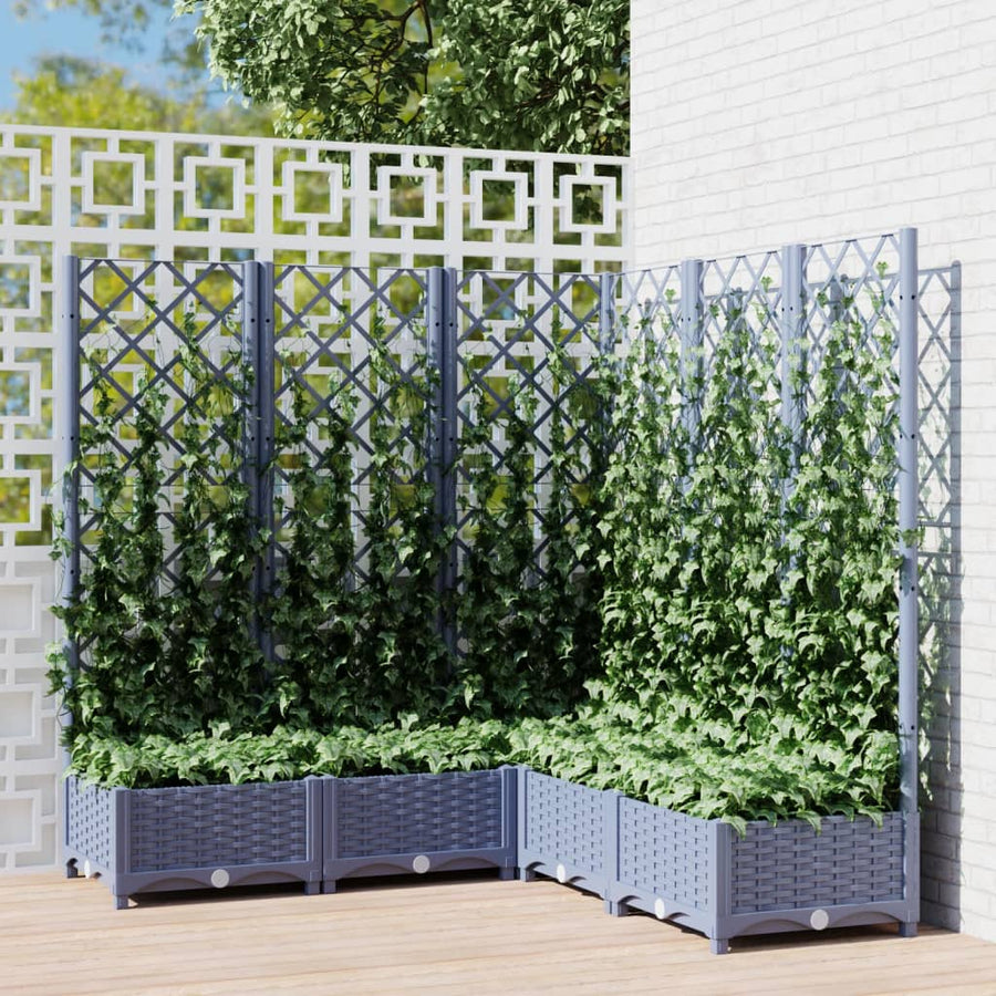 Plantenbak Met Latwerk 20X20X2,5 Cm Polypropeen 120 x 120 x 121.5 cm Donkergrijs