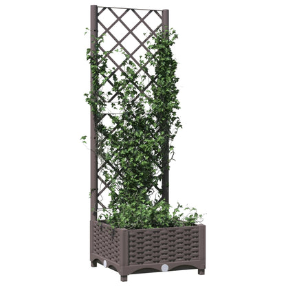 Plantenbak Met Latwerk 40X40X2,5 Cm Polypropeen 40 x 40 x 121.5 cm Bruin
