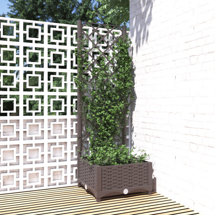 Plantenbak Met Latwerk 40X40X2,5 Cm Polypropeen 40 x 40 x 121.5 cm Bruin