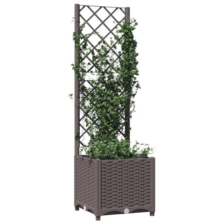 Plantenbak Met Latwerk Polypropeen 40 x 40 x 136 cm Bruin