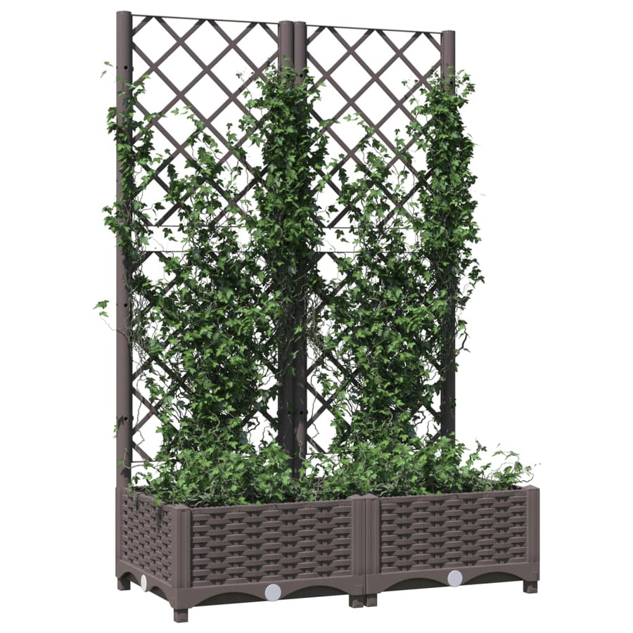 Plantenbak Met Latwerk 80X40X2,5 Cm Polypropeen 80 x 40 x 121.5 cm Bruin