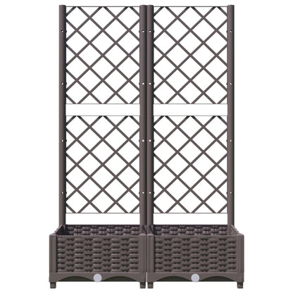 Plantenbak Met Latwerk 80X40X2,5 Cm Polypropeen 80 x 40 x 121.5 cm Bruin