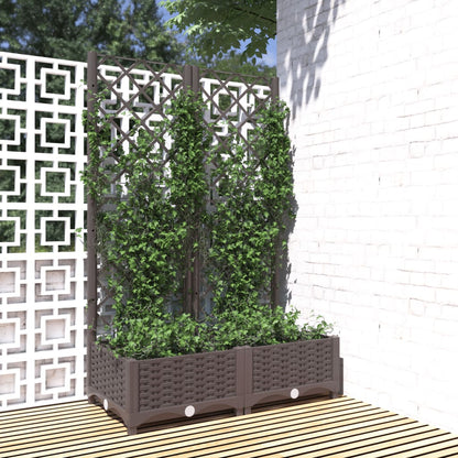 Plantenbak Met Latwerk 80X40X2,5 Cm Polypropeen 80 x 40 x 121.5 cm Bruin