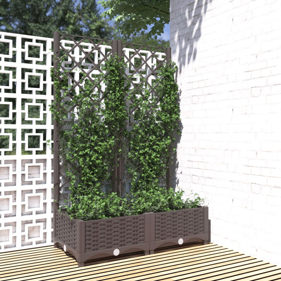 Plantenbak Met Latwerk 80X40X2,5 Cm Polypropeen 80 x 40 x 121.5 cm Bruin