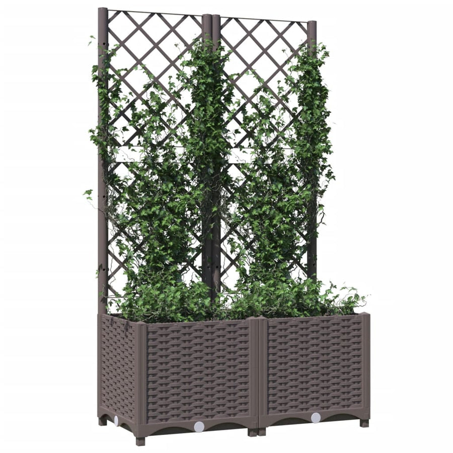Plantenbak Met Latwerk Polypropeen 80 x 40 x 136 cm Bruin