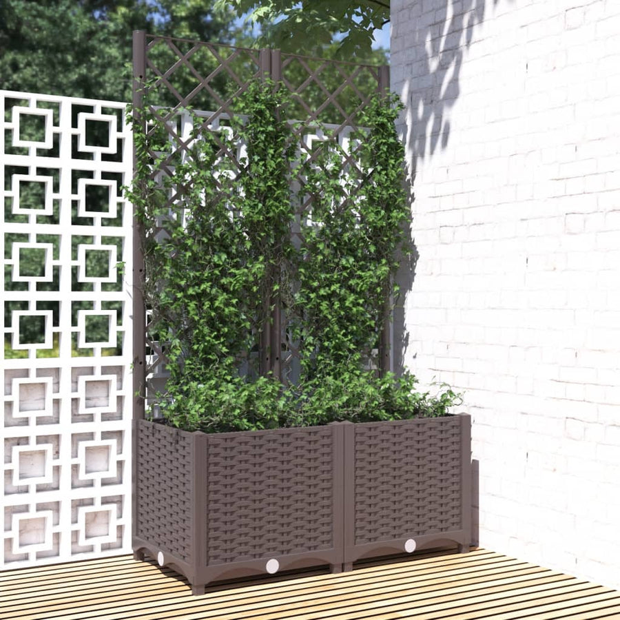 Plantenbak Met Latwerk Polypropeen 80 x 40 x 136 cm Bruin