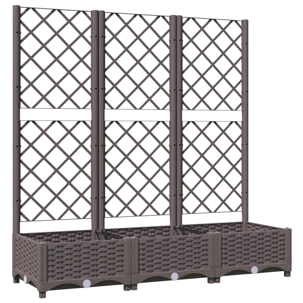 Plantenbak Met Latwerk 20X40X2,5 Cm Polypropeen 120 x 40 x 121.5 cm Bruin